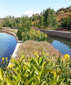 Jardinería para empresa Caviar Riofrio