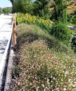 Restauración paisajística en Granada