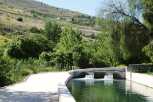 Restauración paisajística en Granada para Caviar Riofrio