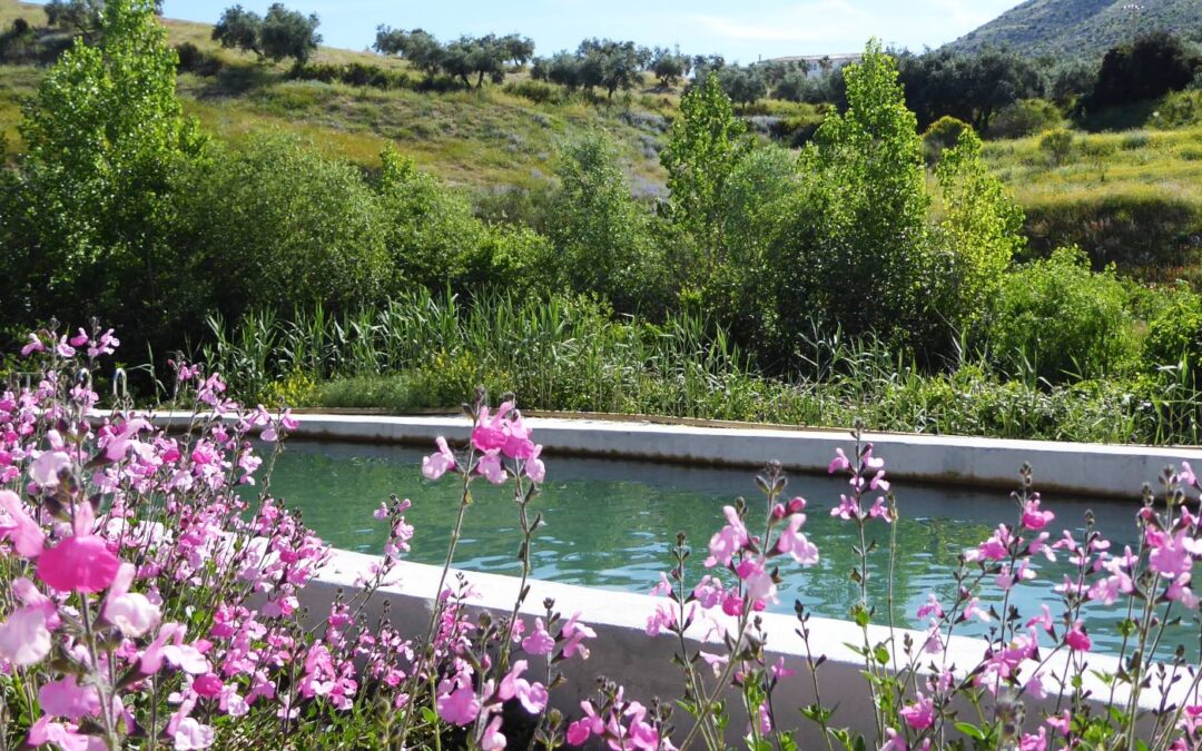 Jardinería de Caviar Riofrío Grupo Osborne