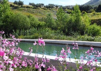 Jardinería de Caviar Riofrío Grupo Osborne