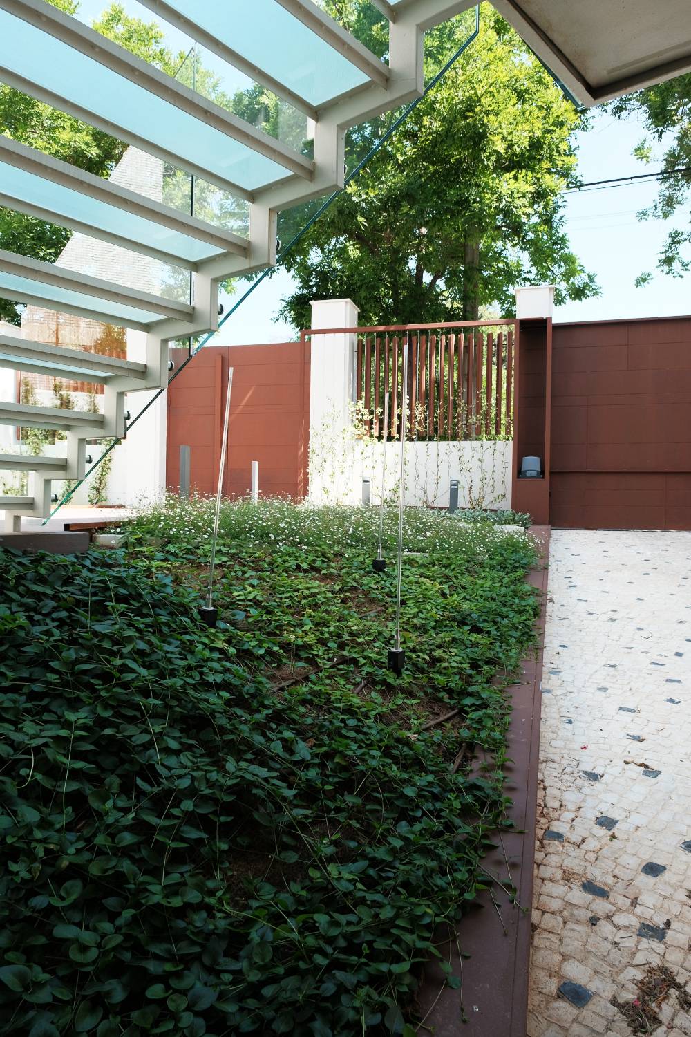 Jardín con plantas bajo escalera Jardín con plantas bajo escalera