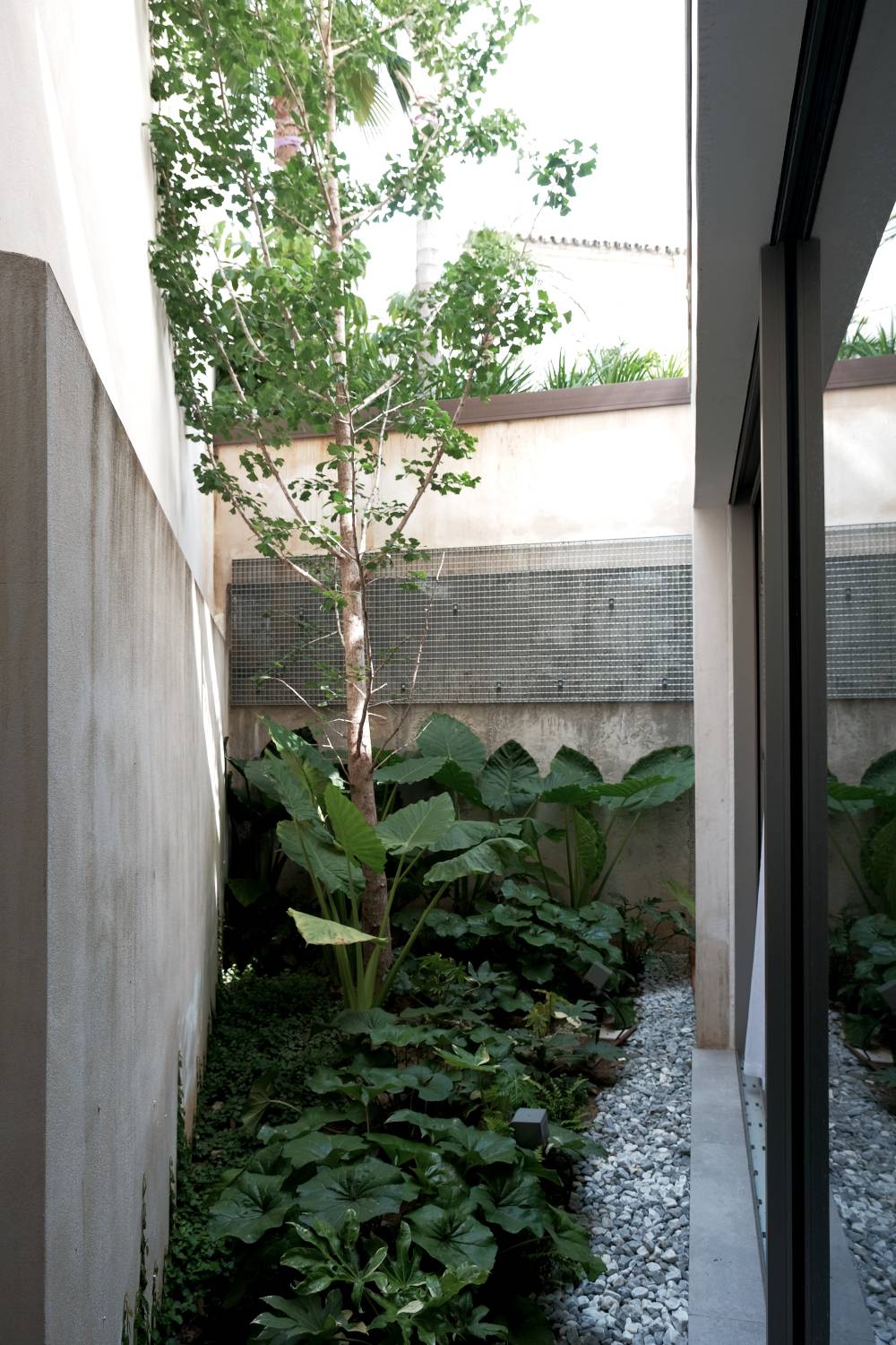Jardín interior en planta baja Jardín interior en planta baja