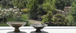 Jardín en la Sierra de San Pedro