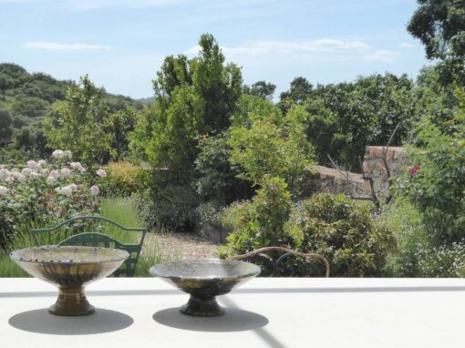Jardín en la Sierra de San Pedro. Extremadura