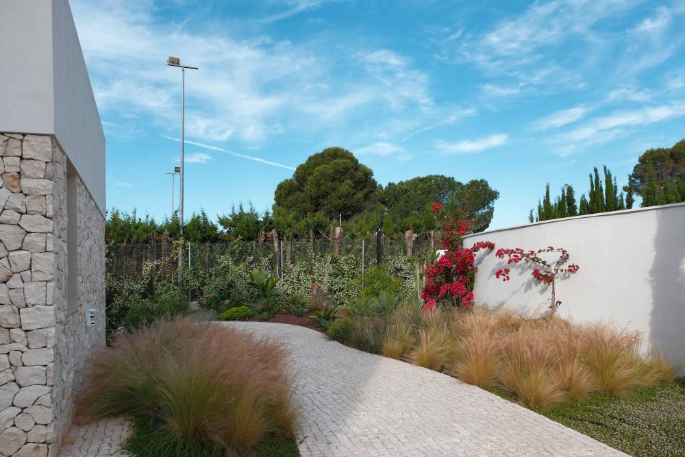 Jardín con caminos de piedra blanca entre flores Jardín con caminos de piedra blanca entre flores