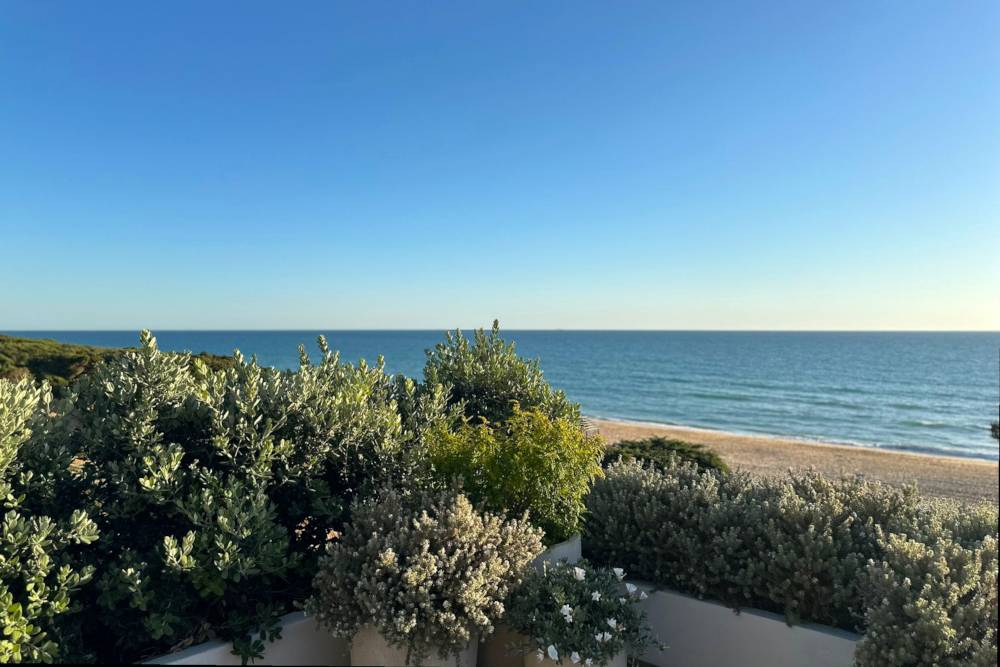 Terraza a la playa con macetas y jardineras Terraza a la playa con macetas y jardineras