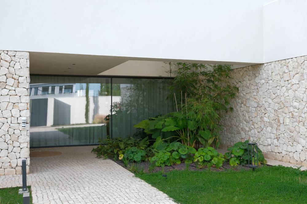 Tragaluz con jardín en la entrada de la casa Tragaluz con jardín en la entrada de la casa